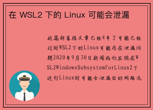 在 WSL2 下的 Linux 可能会泄漏 